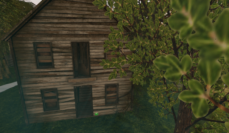 Cabin9_2025-08-27_113647_001